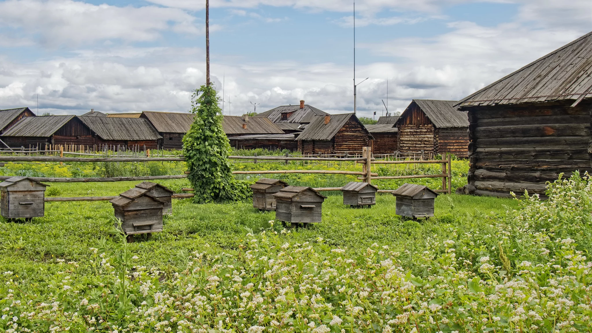 Село сибирское